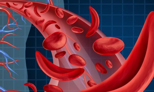 S3NA Science (Biology)