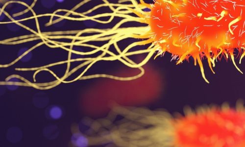 S4E/5NA (O) Science Biology